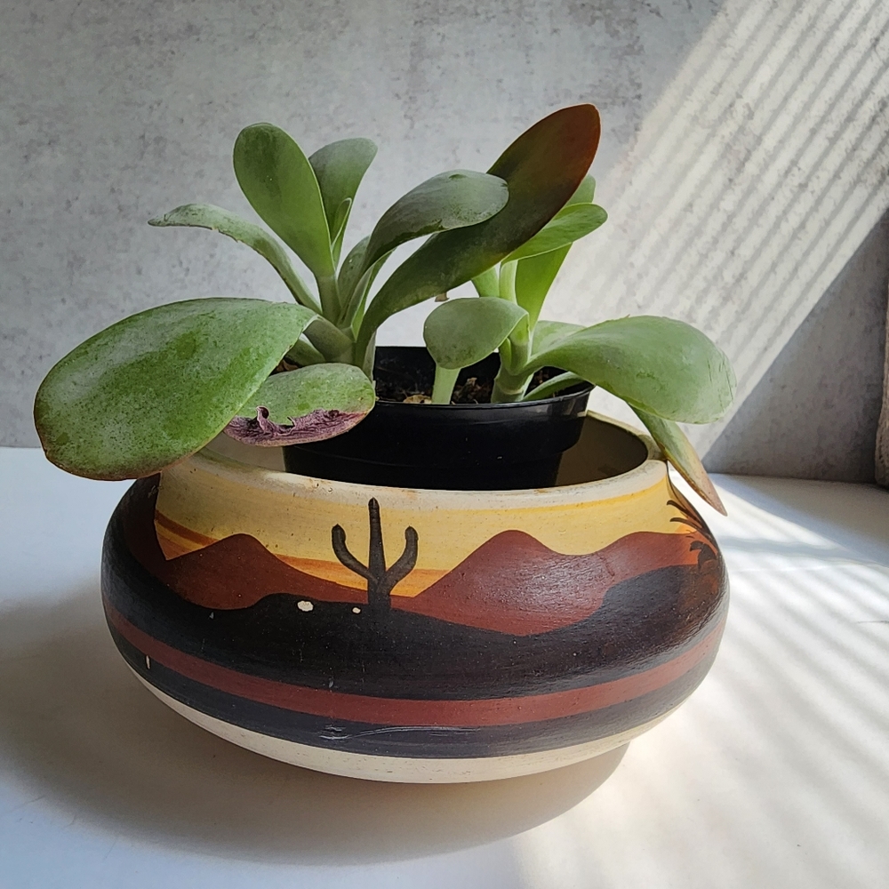Vintage hand painted succulent pottery